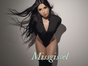 Missgissel