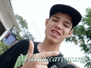 Molinascarloscam
