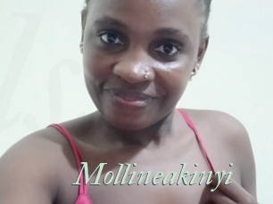 Mollineakinyi