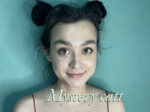 Mystery_catt