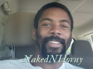 NakedNHorny