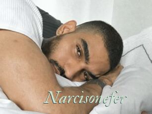 Narcisonefer