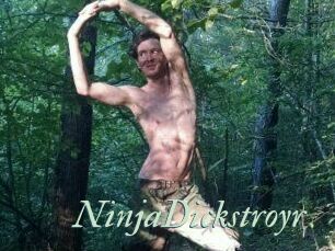 NinjaDickstroyr