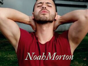 NoahMorton