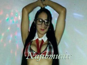 Najib_munir