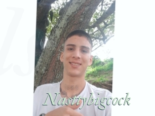 Nasttybigcock