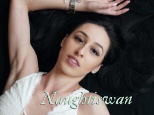 Naughtiswan