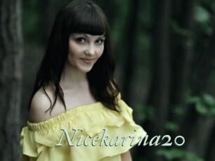 Nicekarina20