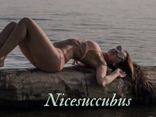 Nicesuccubus