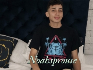 Noahsprouse