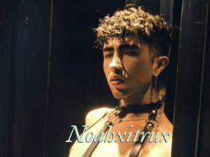 Noahxitrux