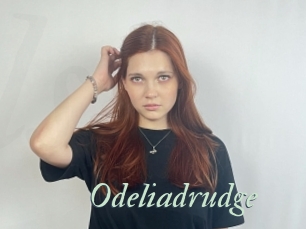 Odeliadrudge