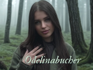 Odelinabucher