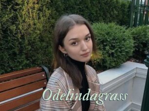 Odelindagrass