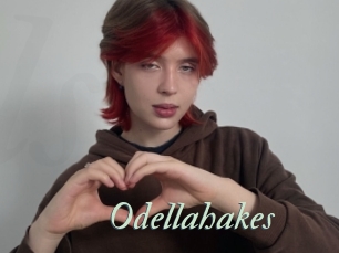 Odellahakes