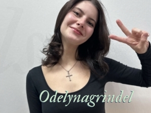 Odelynagrindel