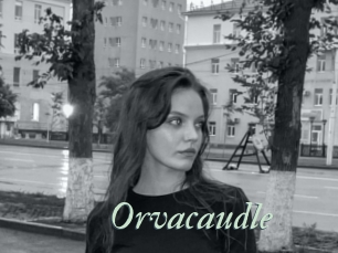 Orvacaudle