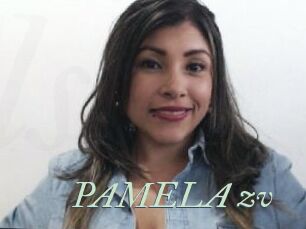 PAMELA_zv