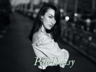 PaleDaisy