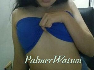 PalmerWatson