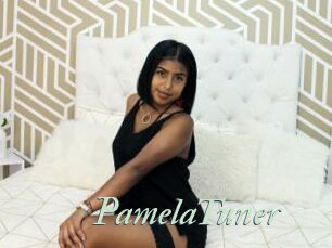 PamelaTuner