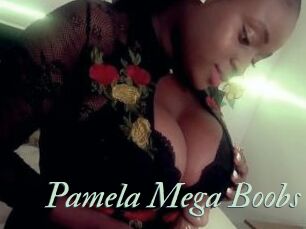 Pamela_Mega_Boobs