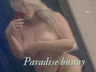 Paradise_bunny
