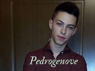 Pedrogenove