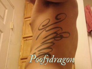 Poofydragon