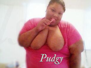 Pudgy