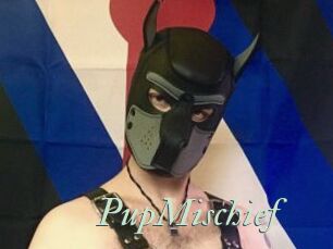 PupMischief
