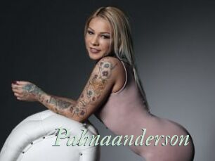 Palmaanderson