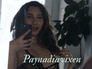 Paynadiavixen