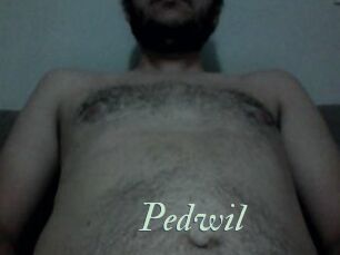 Pedwil