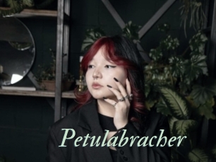 Petulabracher