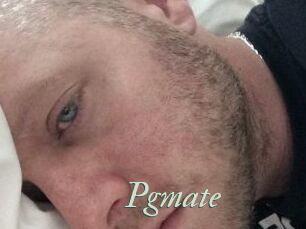 Pgmate