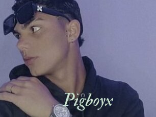 Pigboyx