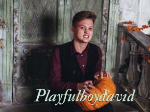 Playfulboydavid