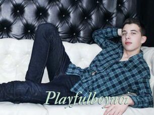 Playfulboynoi