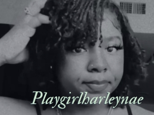 Playgirlharleynae