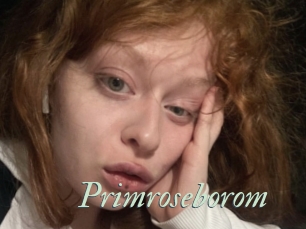 Primroseborom