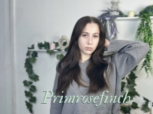 Primrosefinch