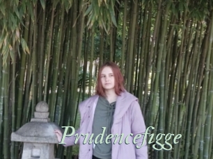 Prudencefigge