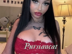 Pursiancat