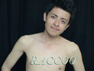 RACCOO