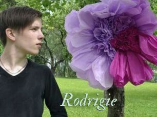 Rodrigie