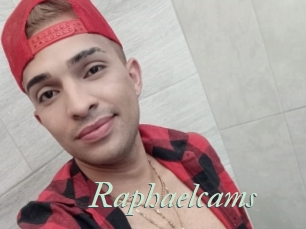 Raphaelcams