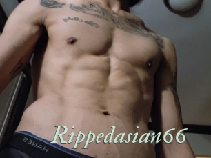 Rippedasian66