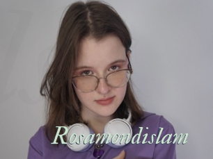 Rosamondislam