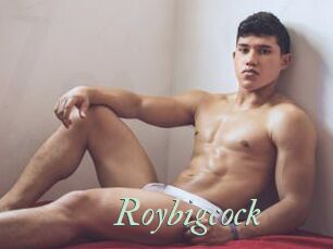 Roybigcock